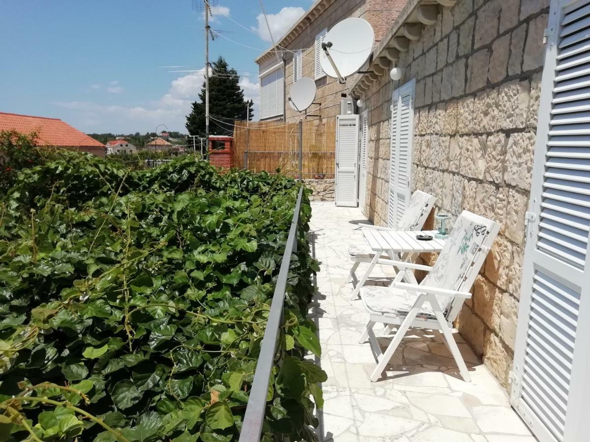 Village Apartment Skuric Čilipi Εξωτερικό φωτογραφία